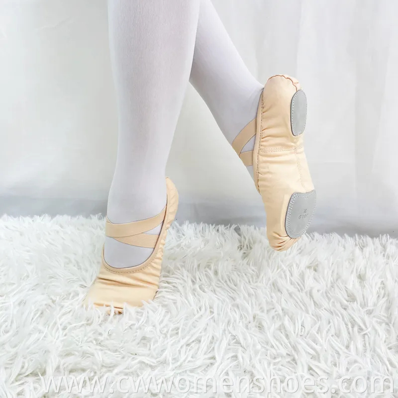 Premium Ballet Dance Slippers for Women and Girls Performance